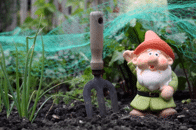 Gardening in Canada