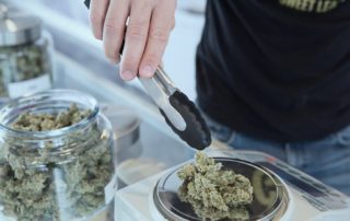 Cannabis in Canada