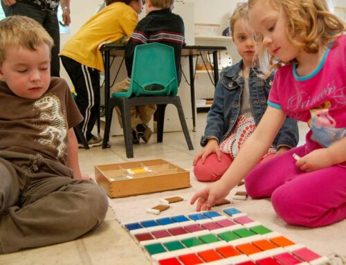 Montessori Schools in Toronto