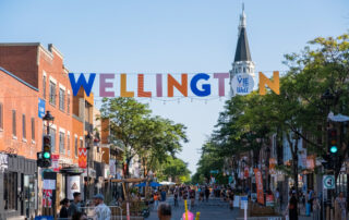 Wellington photo